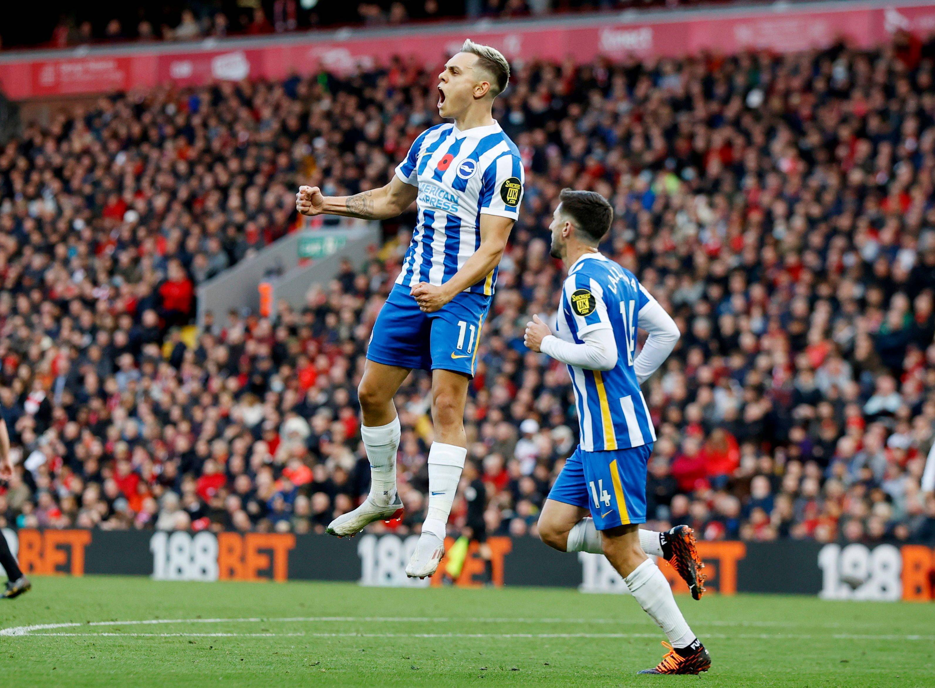 布置也开始 布置也开始