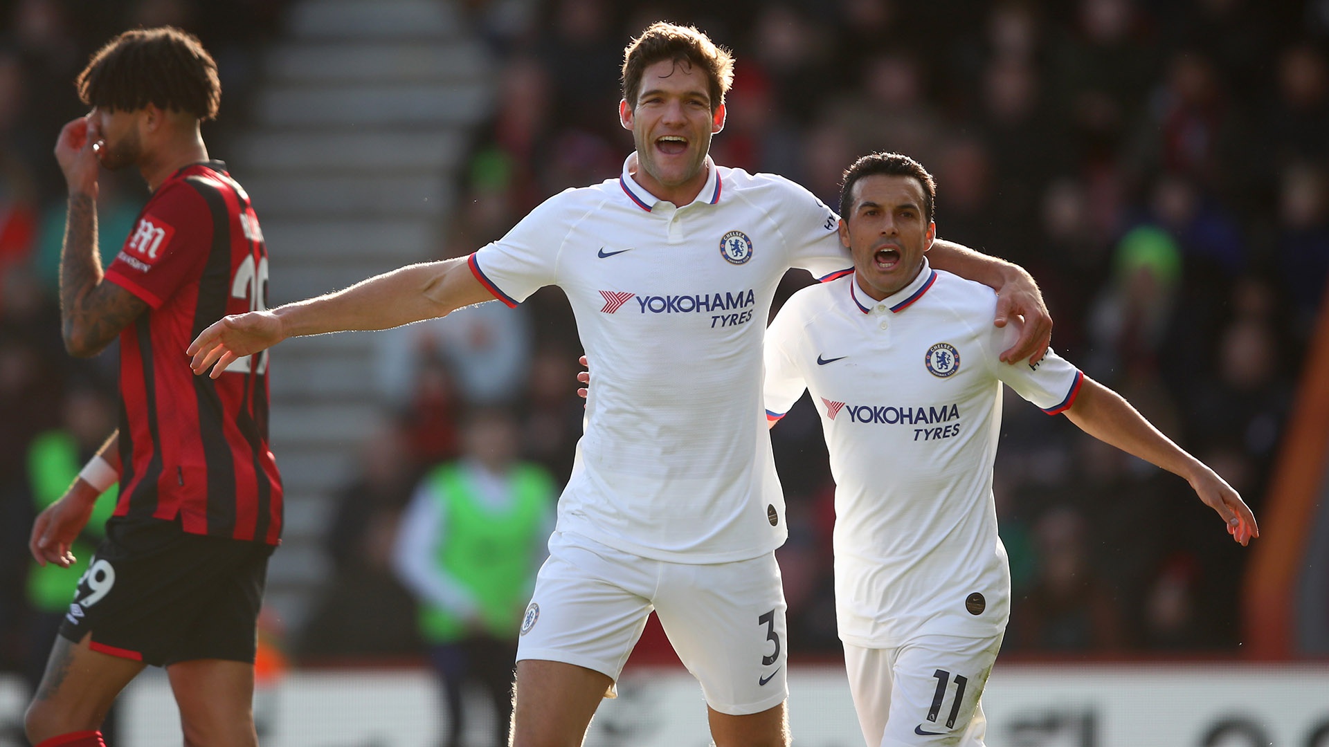 将不仅是个 将不仅是个